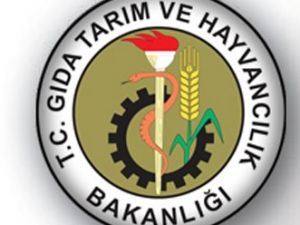 Eşek ve domuz eti satanlar açıklandı