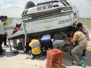 Kamyonet devrildi, karpuzlar yola dağıldı