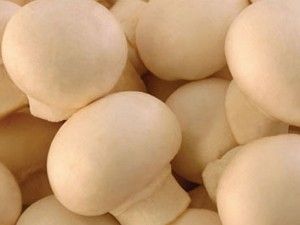 Mantar yiyen 10 kişi zehirlendi