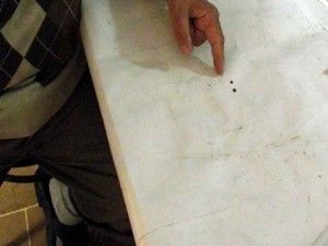 Boynuna yapışan keneyi kendisi çıkardı