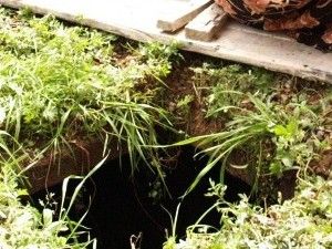 Foseptik çukuruna düşen 15 aylık çocuk öldü