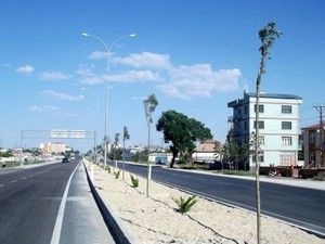 Karapınar'da orta refüjlere ağaç dikiliyor