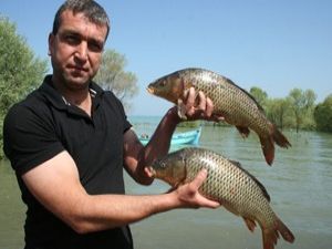 Beyşehir'de ağlar sazanla doldu