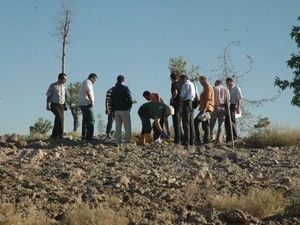 Hobi bahçesinde kafatası ve kemikler