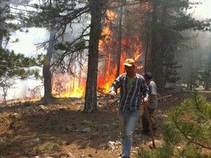 Seydişehir'de orman yangını