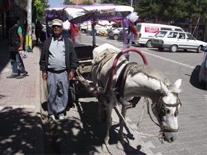 Çocukları bekliyor