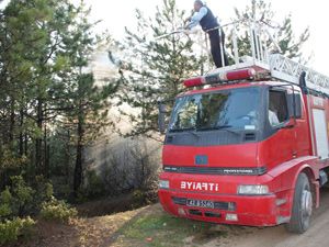 Beyşehir'de orman yangını korkuttu