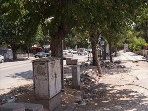 Ağaçlar yeniden dikilmeli