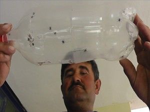 Çobanların kene korkusu