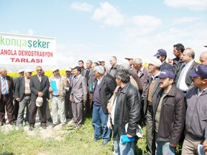 Şeker enerji üretiyor