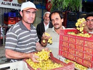 Kiraz üreticisinin keyfini dolu kaçırdı