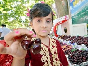 Karaman Başyaylada Kiraz Festivali yapıldı