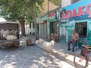 Sevinç ve hüzne adanan adaklar