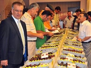 Akşehir Kiraz festivali başladı