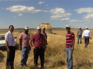 Kuluda tarımsal alanda hasat başladı