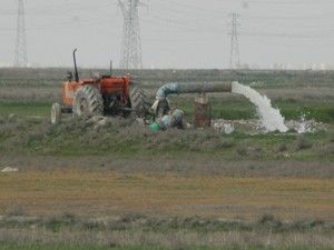 YAS Eylem Planı yasa yolaçmasın