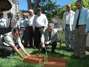 Sokak hayvanlarına su bırakma kampanyası