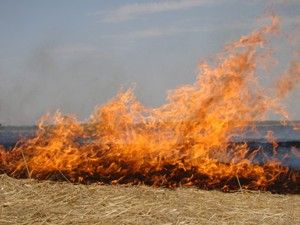 Çiftçiye tarlasında emniyet şeridi uyarısı