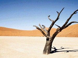 Karapınardaki çalışmalardan verim alınıyor