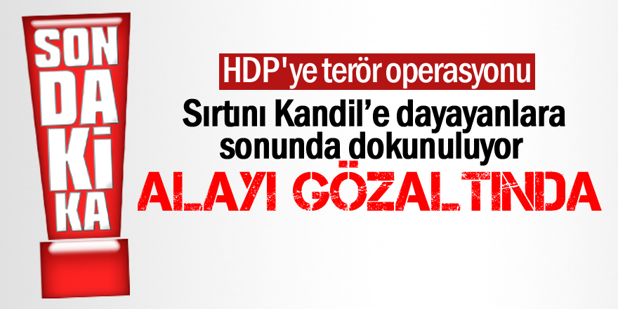 HDP'ye terör operasyonu