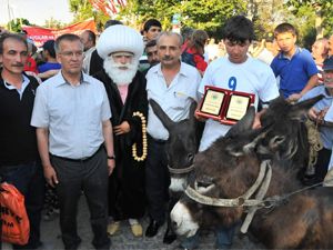 Akşehir'de eşek yarışı