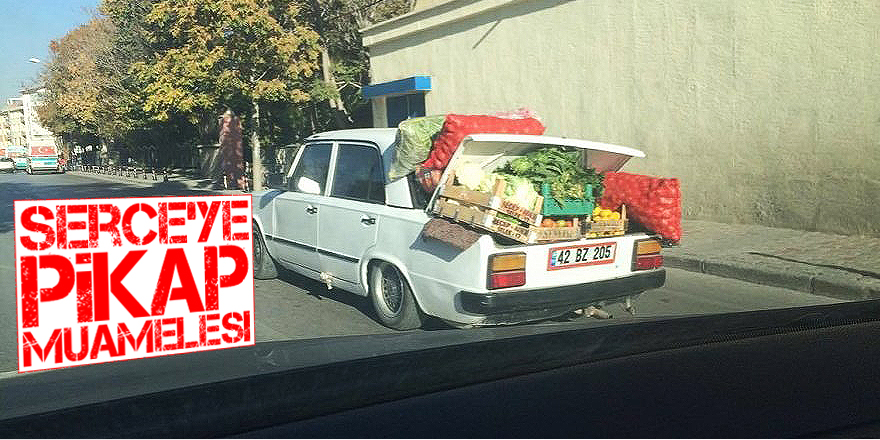 Serçe kendinden büyük yük taşıdı