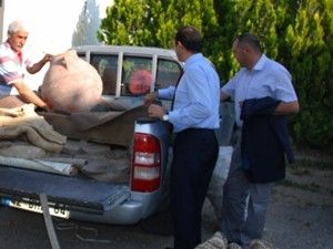 Müzeler Kenti Sarayönü projesi