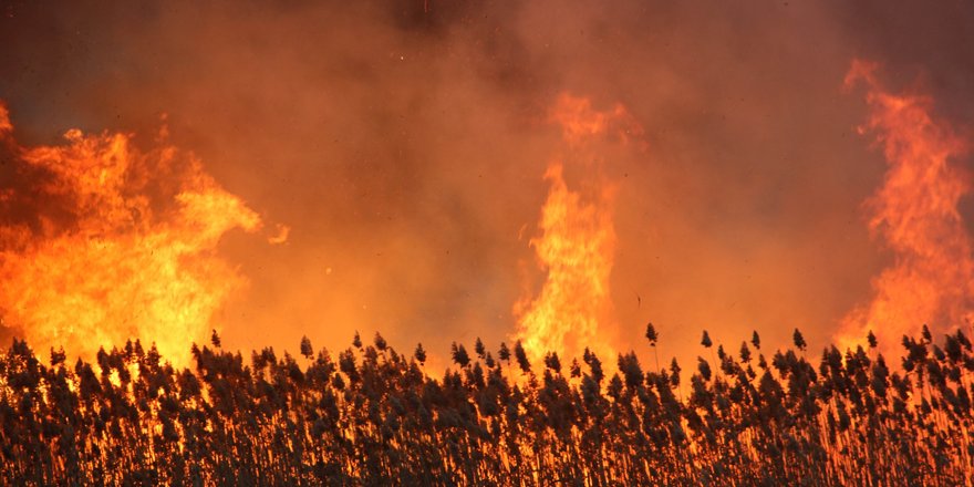 Beyşehir Gölü Milli Parkı’nda sazlık yangını