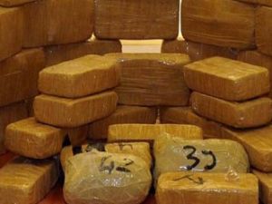 Dört ilde uyuşturucu operasyonu