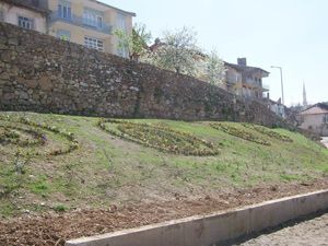 Doğanhisar'da hizmet seferberliği 