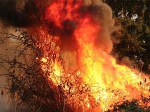 Antalya'da Orman Yangını