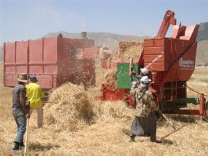 Konya Ovasında hasat devam ediyor