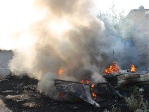 Yanan oyuncak yunuslar korkuttu