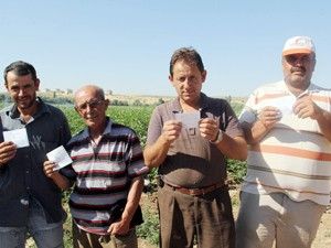 Rekolte düşük, avans büyük