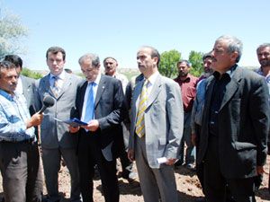Organik patates toprakla buluştu