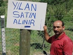 Farelerle mücadelede ilginç çözüm
