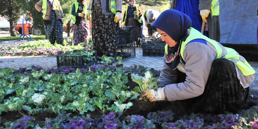 Akşehir Belediyesi çiçeklendirme çalışmalarına başladı