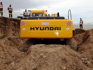 Hayvanların midesine bakıyorlarmış