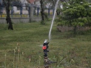 Sulama gece veya sabah yapılmalı