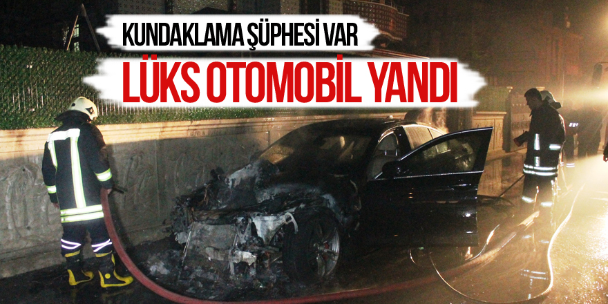 Park halindeki lüks otomobil yandı