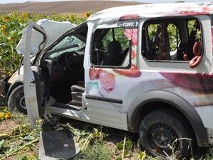 Kamyonet ayçiçeği tarlasına uçtu: 1 ölü