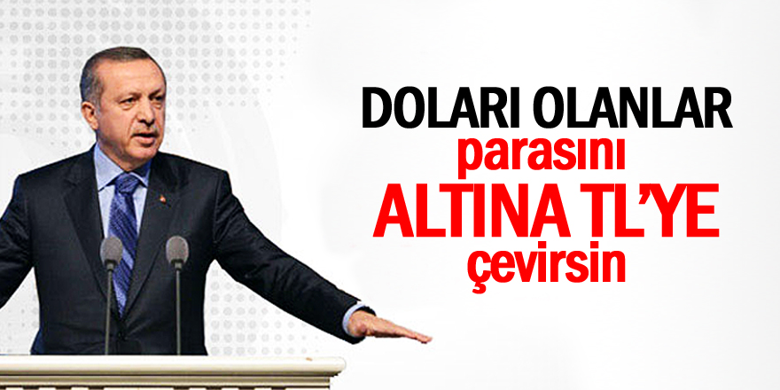 Erdoğan’dan ‘döviz’ çağrısı: Bozdurun altına yatırın