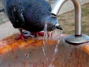 Antalya'da nem oranı yüzde 80