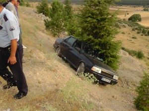 Yuvarlanmaktan sedir ağacı kurtardı