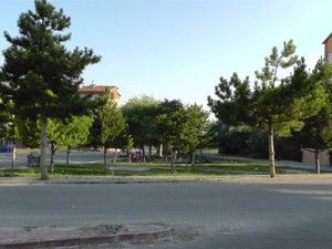 Parka gitmeye korkuyorlar
