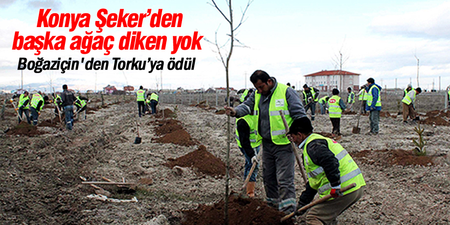 Boğaziçin'nden Torku’ya ödül