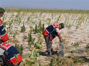 Ereğli'de uyuşturucu operasyonu