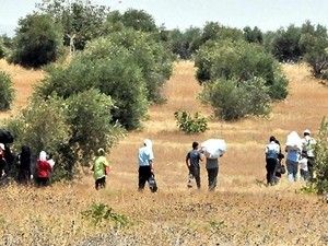 Suriye'den kaçış devam ediyor