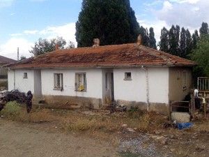 Sağlık lojmanının bahçesine kenevir