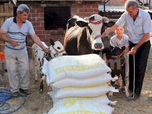 ''Sakla samanı gelir zamanı'' dönemi değil